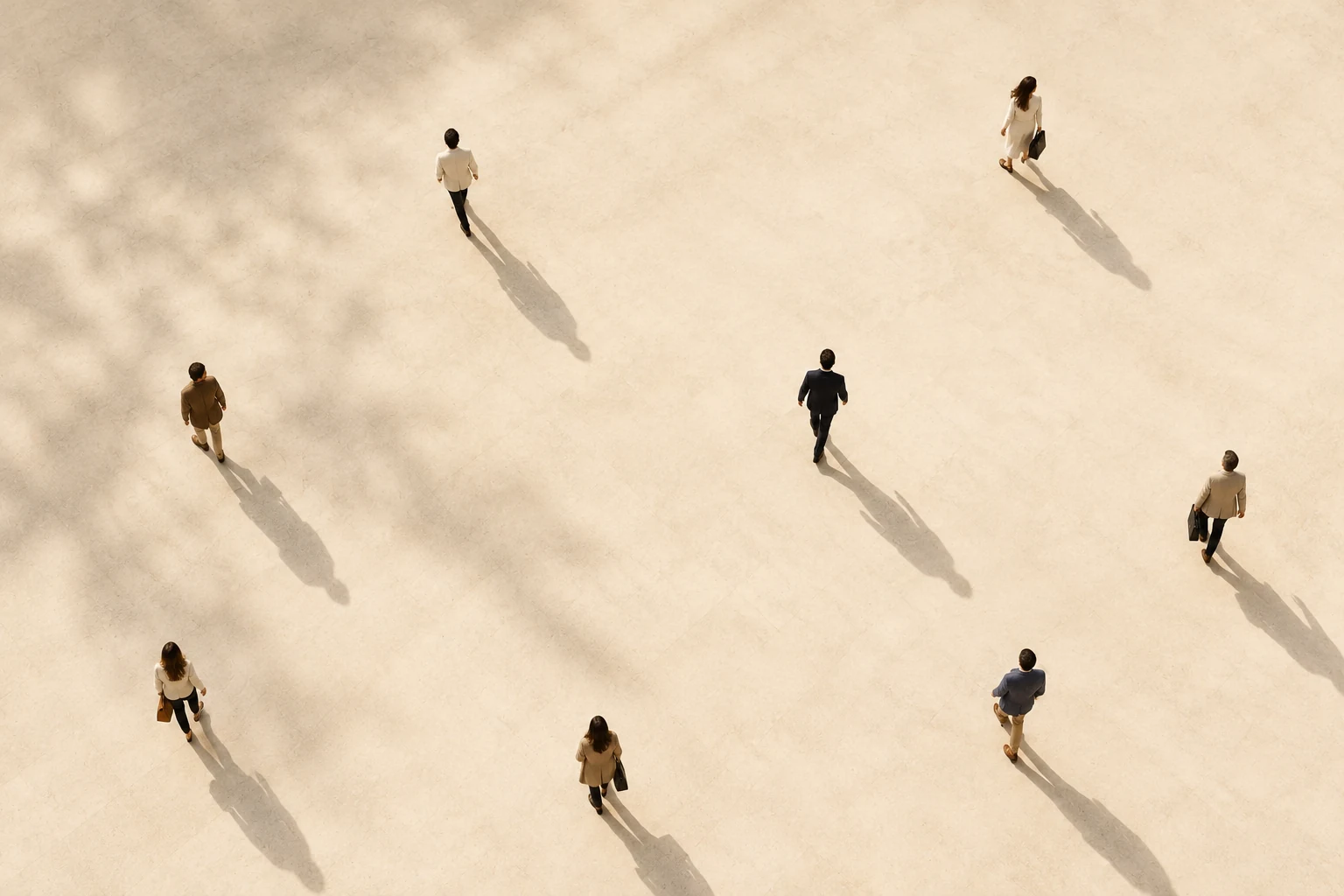 People moving through a sunlit open space, seen from above